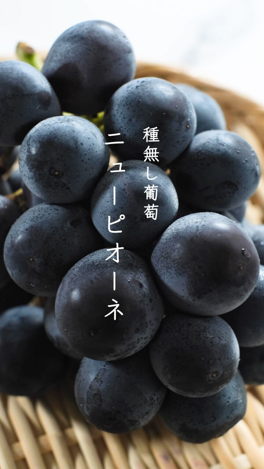 【豆知識】葡萄の「#ニューピオーネ」と「#ピオーネ」の違いって？🤔 | 株式会社YAOHACHI
